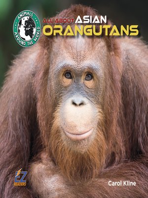 cover image of All About Asian Orangutans